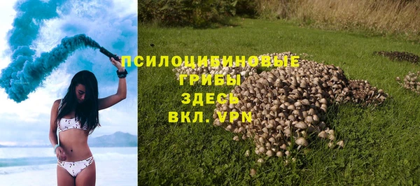 Альфа ПВП Инсар