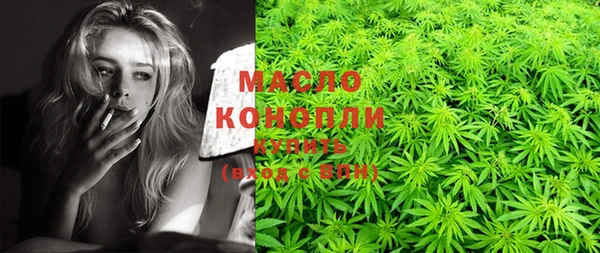 Альфа ПВП Инсар