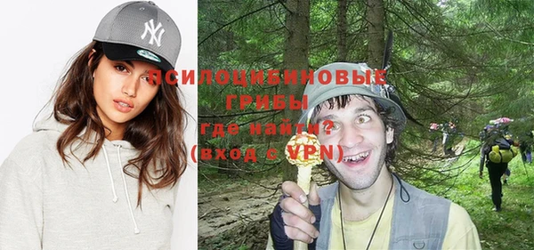 Альфа ПВП Инсар