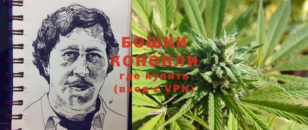 дурь Каменка