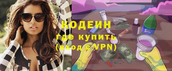 дурь Каменка