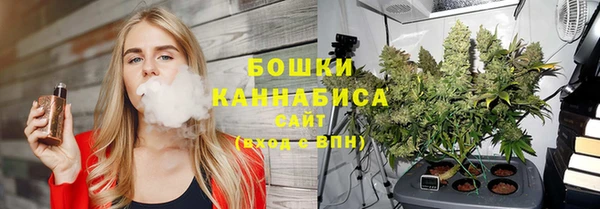 дурь Каменка