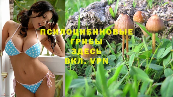 Альфа ПВП Инсар