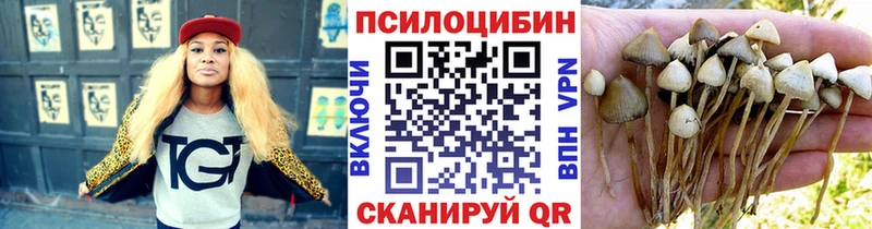 Галлюциногенные грибы Cubensis  Купить закладки  Мелеуз 